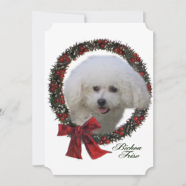 Cartão De Festividades Natal de Bichon Frise (Frente)