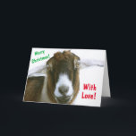 Cartão De Festividades Natal de Cabra Romântica Mushy<br><div class="desc">Cartão de Natal bonito e divertido,  com uma cabra romântica com amor nos olhos! Personalize as mensagens e aproveite. Muitos obrigados por procurarem! Foto ©Christine Greenspan</div>