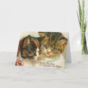 Cartão De Festividades Natal de duas Gatinhos