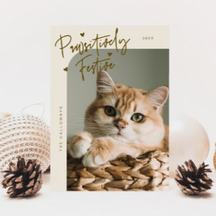 Cartão De Festividades Natal de Gato Festivo Foto de Creme