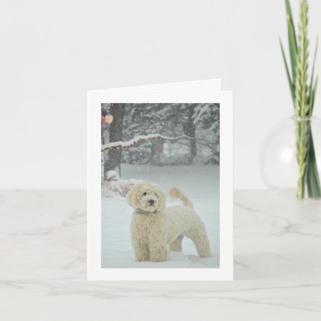 Cartão De Festividades Natal de Goldendoodle (Frente)