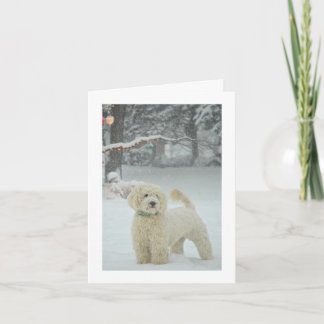 Cartão De Festividades Natal de Goldendoodle
