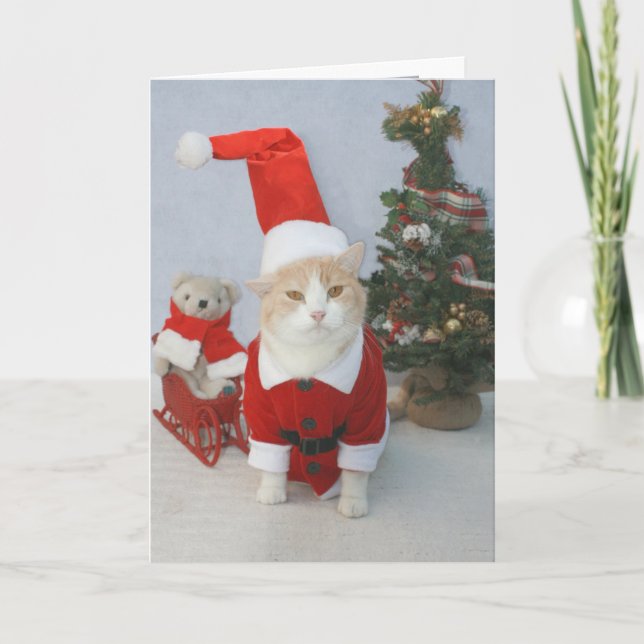 Cartão De Festividades Natal de MEOWry! (Frente)