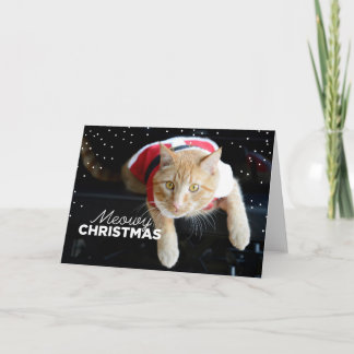 Cartão De Festividades Natal de Meowy