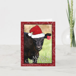 Cartão De Festividades Natal de Moooo-y!