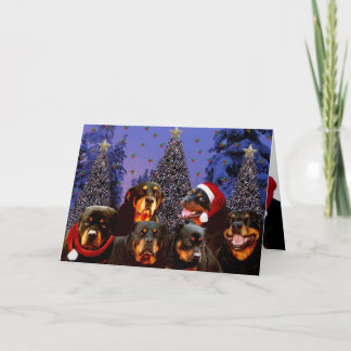 Cartão De Festividades Natal de Rottweiler