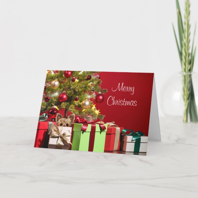 Cartão De Festividades Natal de Yorkie (Frente)