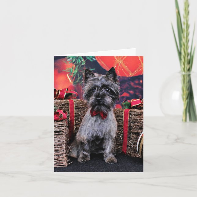 Cartão De Festividades Natal - Dexter - Cairn (Frente)