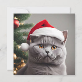 Cartão De Festividades Natal do British Shorthair