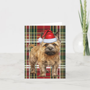 Cartão De Festividades Natal do Cairn Terrier Christmas Dog Xadrez