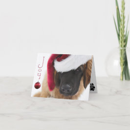 Cartão De Festividades Natal do filhote de cachorro de Leonberger
