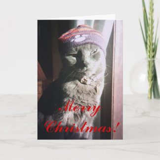 Cartão De Festividades Natal do gatinho
