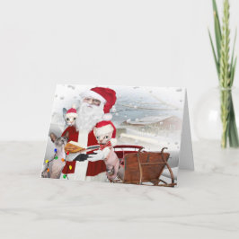 Cartão De Festividades Natal do gatinho de Sphynx com papai noel
