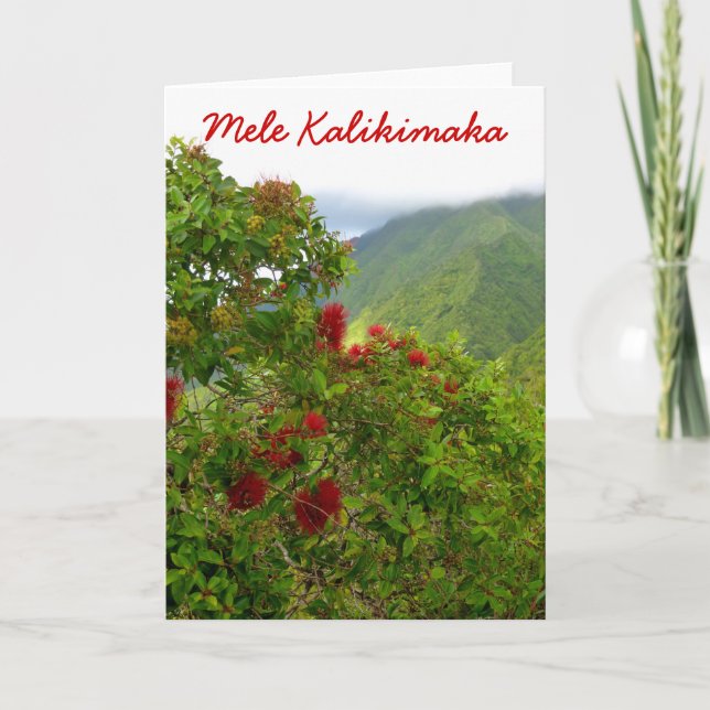 Cartão De Festividades Natal do Havaí (Frente)