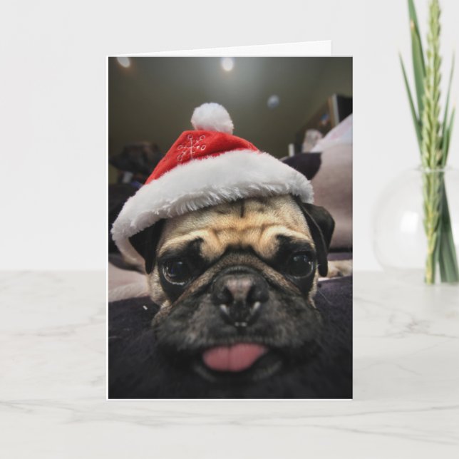 Cartão De Festividades Natal do Pug (Frente)