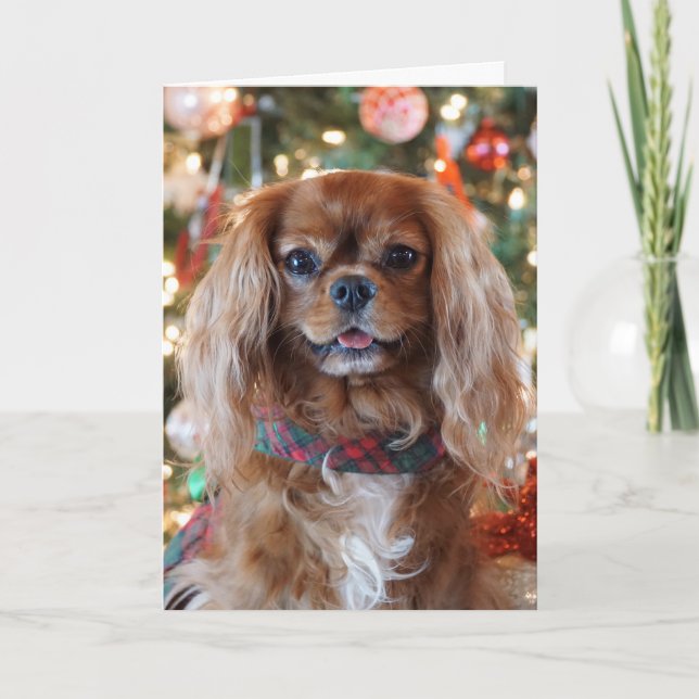 Cartão De Festividades Natal do rubi (Frente)