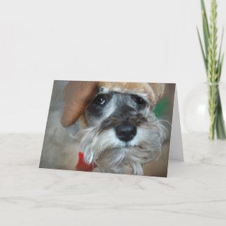 Cartão De Festividades Natal do Schnauzer