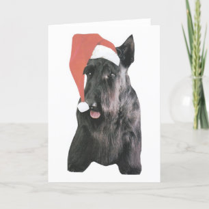 Cartão De Festividades Natal do Scottish Terrier Santa Hat