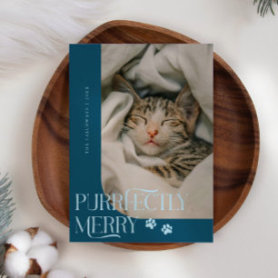 Cartão De Festividades Natal do Teal Cat Foto Puramente Feliz