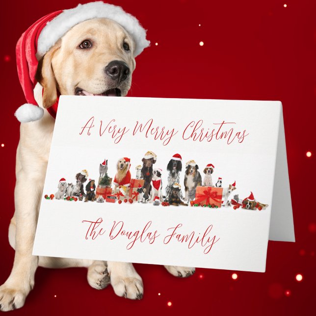 Cartão De Festividades Natal dos Amantes de Cachorros com Nome da Família (Dog Lovers Christmas with Family Name Holiday Card)