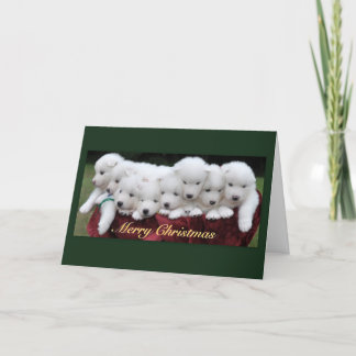 Cartão De Festividades Natal dos filhotes de cachorro do Samoyed (4