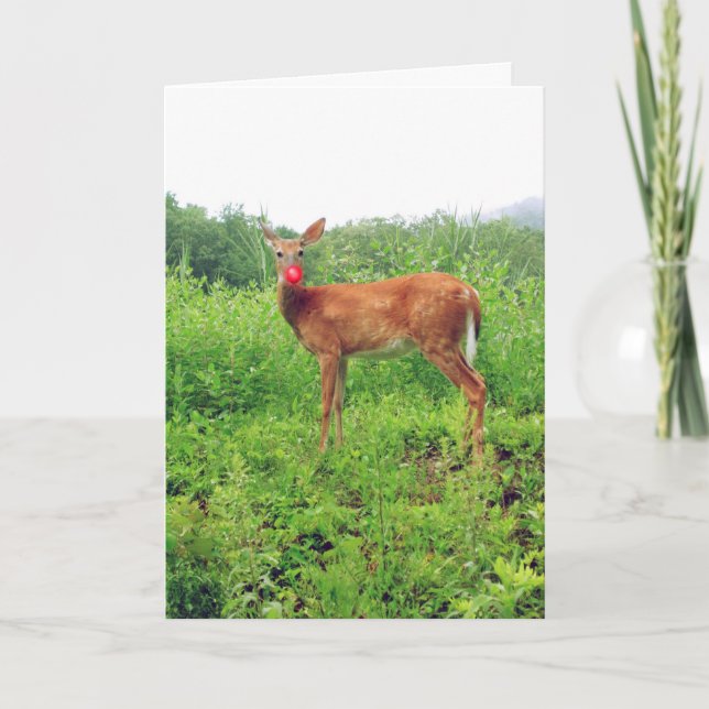 Cartão De Festividades Natal em julho (Frente)