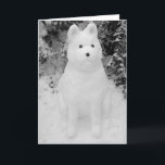 Cartão De Festividades Natal engraçado do boneco de neve do cão da neve<br><div class="desc">Este boneco de neve de vista engraçado de akita da neve foi construído imediatamente depois do Natal na neve grossa de dezembro. A neve akita tem uma expressão engraçada em sua cara, mas… Eu penso que qualquer um olharia como faz se se têm sentado na neve fria por horas. Esta...</div>