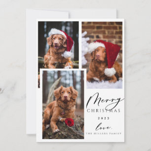 Cartão De Festividades Natal Engraçado Pet Feliz Natal 3 Foto
