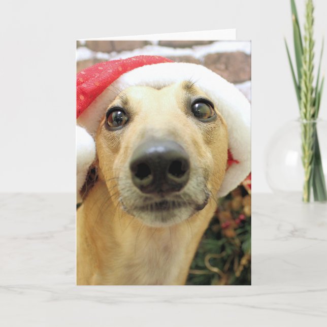 Cartão De Festividades Natal - Greyhound - Pena (Frente)