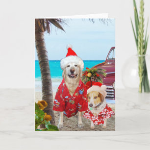 Cartão De Festividades Natal laboratório/do Hawaiian/surfista engraçado
