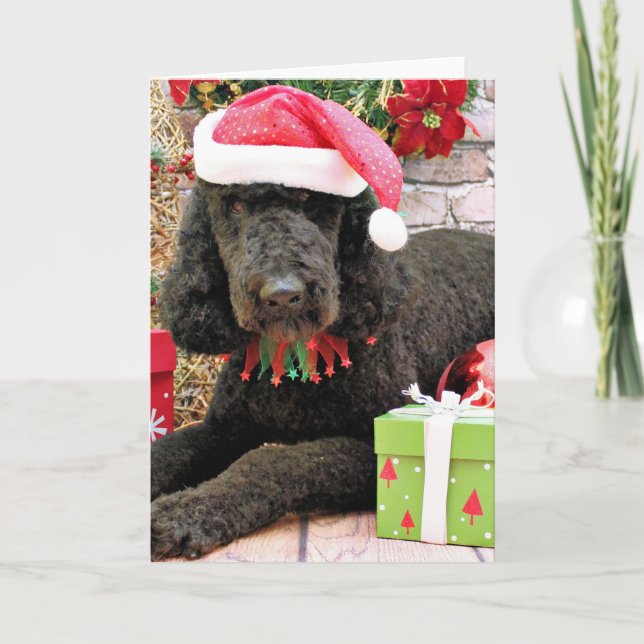 Cartão De Festividades Natal - LabraDoodle - Miller (Frente)