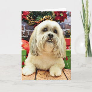 Cartão De Festividades Natal - Lhasa Apso - de solo