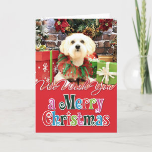 Cartão De Festividades Natal - Lhasa Apso - Jack
