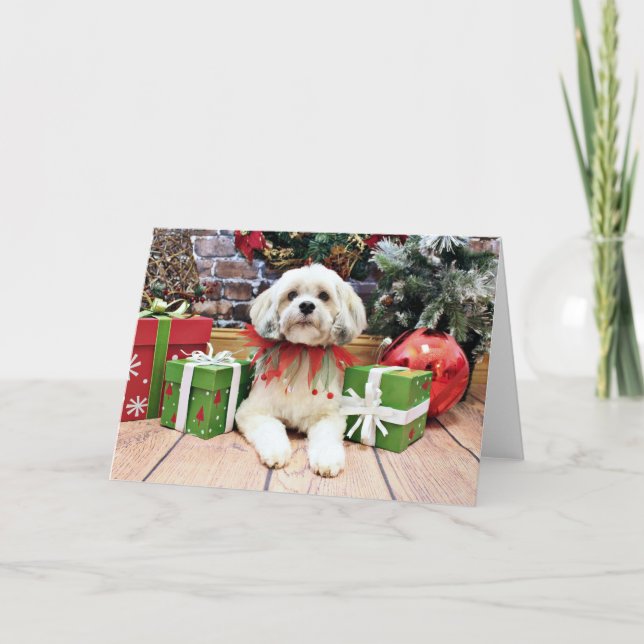 Cartão De Festividades Natal - Lhasa Apso - Muffie (Frente)