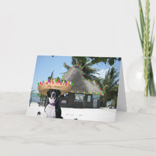 Cartão De Festividades Natal mexicano