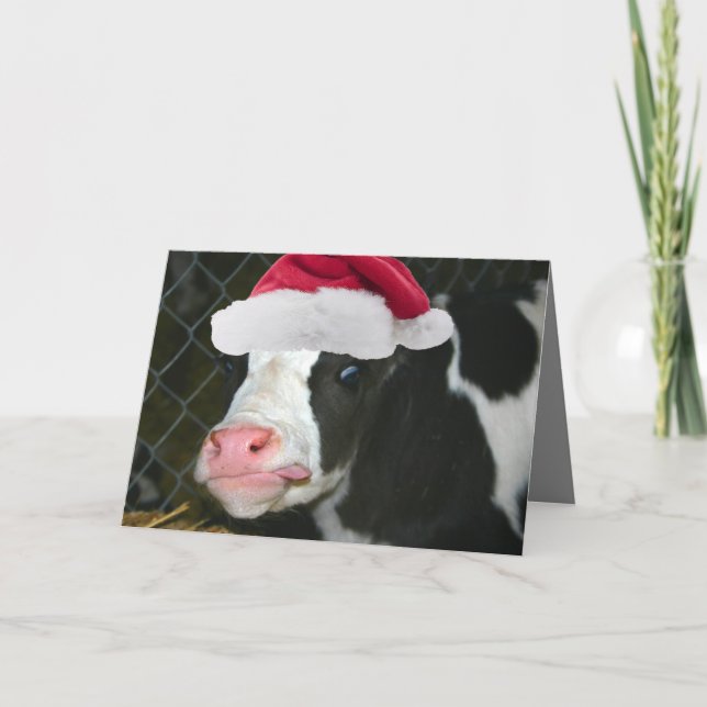 Cartão De Festividades Natal Moory da vaca (Frente)