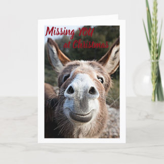 CARTÃO DE FESTIVIDADES **NATAL*** O TRISTE DONKEY DIZ "SENHORA VOCÊ!"