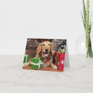 Cartão De Festividades Natal - Ouro Retriever - Sidney