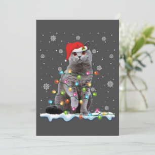 Cartão De Festividades Natal Papai Noel Gato British Shorthair Amante de