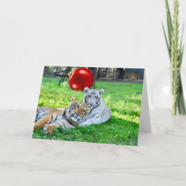 Cartão De Festividades Natal para meninos