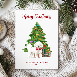 Cartão De Festividades Natal Personalizado do Cão Bichon Frise