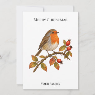 Cartão De Festividades Natal Personalizado do Robin Europeu