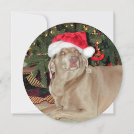 Cartão De Festividades Natal personalizado do Weimaraner