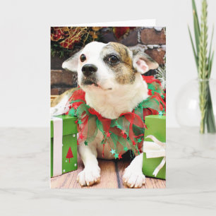 Cartão De Festividades Natal - Pitbull X - Opie