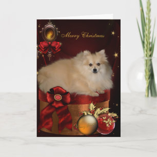 Cartão De Festividades Natal Pomerânia