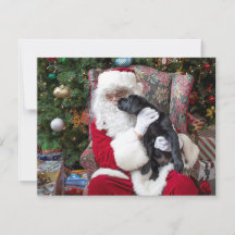 Natal Puppy Papai Noel Negro Labrador