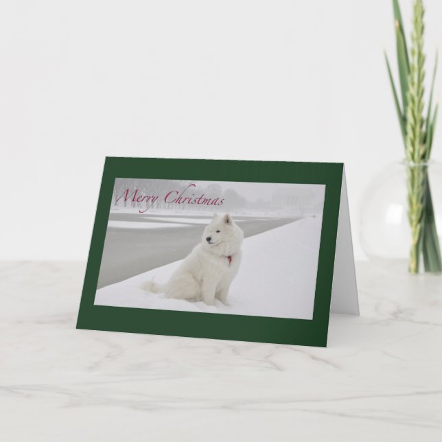 Cartão De Festividades Natal Samoyed (Memorial Lincoln) (Frente)