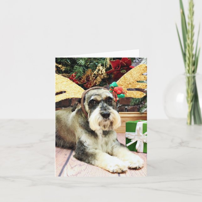 Cartão De Festividades Natal - Schnauzer - Apache (Frente)