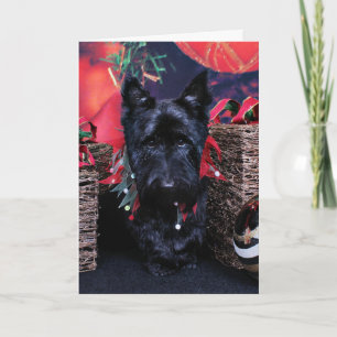 Cartão De Festividades Natal - Scottie - Paisley