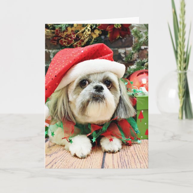 Cartão De Festividades Natal - Shih Tzu - aparelho (Frente)